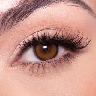 Close up shot of a model with natural dark eyes wearing EyeCandys Amelie Brown colored contact lens complemented by natural eye make up 