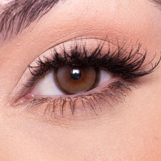 Close up shot of a model with natural dark eyes wearing EyeCandys Amelie Grey colored contact lens complemented by natural eye make up 