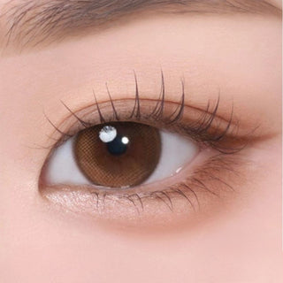 Bausch & Lomb Lacelle Iconic Aurora Brown (30pk)