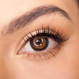 EyeCandys Pink Label Big Ring Brown color contact lens on top of a dark eye paired with subtle eye makeup and curled wispy eyelashes