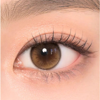 Chuu Daisy Shower Pure Brown (10pk)