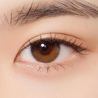 Macro shot of an eye wearing the Olola Daymood 1-Day Brown (10pk) (KR) prescription colour contact lens, showing the multi-colored detail and natural effect on dark brown eyes.