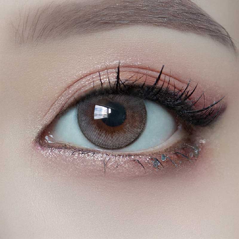 Molak 1-Day Dollish Grey Colour Contact Lenses - Circle Lenses
