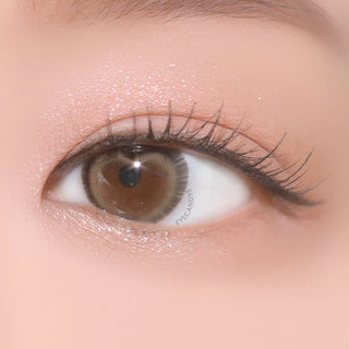DooNoon Nemo Heart Beam Brown Color Contact Lens - EyeCandys