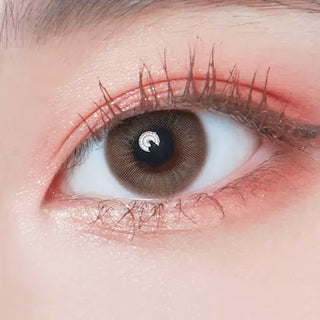 DooNoon Misty Brown (20pk) Color Contact Lens - EyeCandys