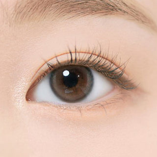 i-DOL Eyeis Ash Brown Color Contact Lens - EyeCandys
