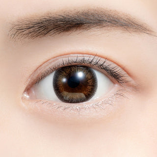 Feliamo 1-Day Tulle Brown (10pk) Color Contact Lens - EyeCandys