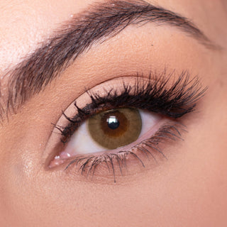 Close-up shot of a model with natural dark eyes wearing Libre brown contact lenses, complemented by natural eye make up. Close-up image showcases the model's eyes adorned with the same brown contact lenses. 