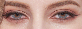 Innovision Luxury Dark Grey colored contacts circle lenses - EyeCandy's