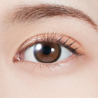 Close-up of eye wearing EyeCandys Molak 1-Day Brown Bunny (10pk) prescription colored contact lens, milk chocolate brown iris with soft two-tone gradient and defined limbal ring, natural Korean daily disposable contact lens for dark eyes