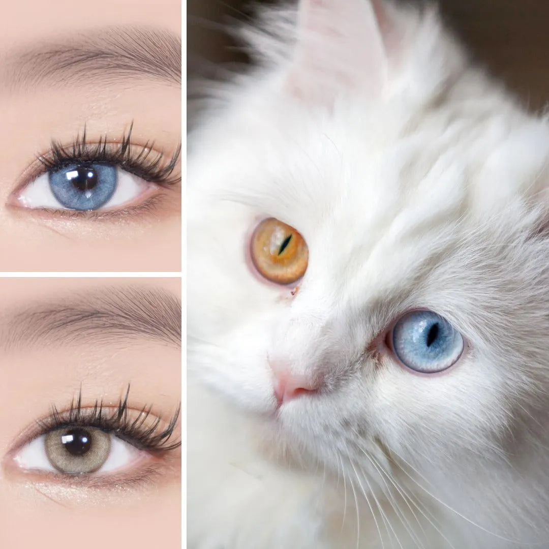 Where to Get the Best Colored Contacts Near Me? EyeCandys Color Contact ... Non prescription colored contacts near me