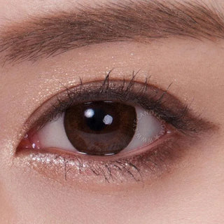 NEO Weekly Shiny Dali Brown (12pk) (KR) Colored Contacts Circle Lenses - EyeCandys