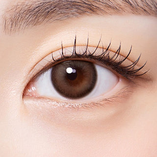 Olola Muted Choco Colored Contacts Circle Lenses - EyeCandys