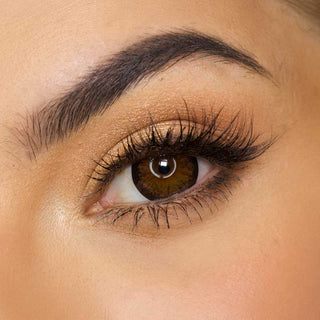 Pink Label Grang Big choco color contact lens on top of a dark eye paired with subtle eye makeup and curled wispy eyelashes, above the contact lens design.
