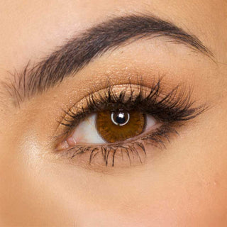 Pink Label Grang Big Brown color contact lens on top of a dark eye paired with subtle eye makeup and curled wispy eyelashes
