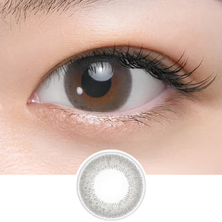 Seed Coffret Sheer Make Grey (10pk)