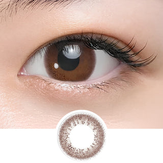 Seed Coffret Sweetie Make Brown (10pk)
