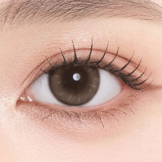 Gemhour Thetis 1-Day Brown (10pk)