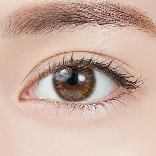 Topards 1-Day Garnet Brown (10pk) Color Contact Lens - EyeCandys