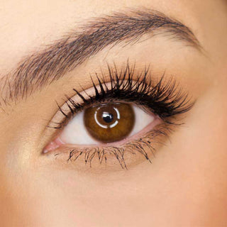 Pink Label Truffle Brown color contact lens on top of a dark eye paired with subtle eye makeup and curled wispy eyelashes