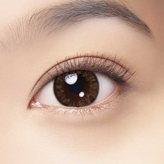 A close-up of a human eye with a brown iris, long lashes, and well-groomed brows, enhanced by Bausch & Lomb Lacelle Bambi Brown (30pk) contact lenses, showing smooth light skin and fine detail around the eye.