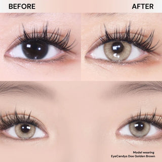 Eyes with long lashes before and after wearing EyeCandys Doe Golden Brown contact lenses. Soft honey-brown tint, unique iris design, gentle limbal ring, UV protection, and all-day comfort with MPC polymer.