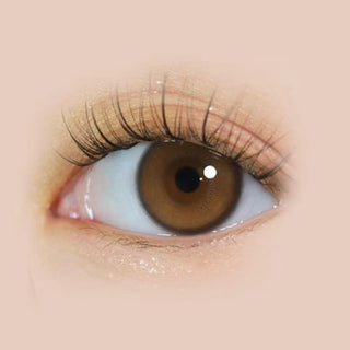 i-DOL Yurial Water Brown 1-Day (10pk) Colored Contacts Circle Lenses - EyeCandys