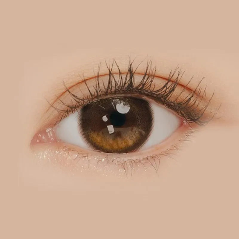 アイシャドウ 12345 Buy i-Sha Oriana Edge Plus 1-Day Shade Brown Colored Contacts