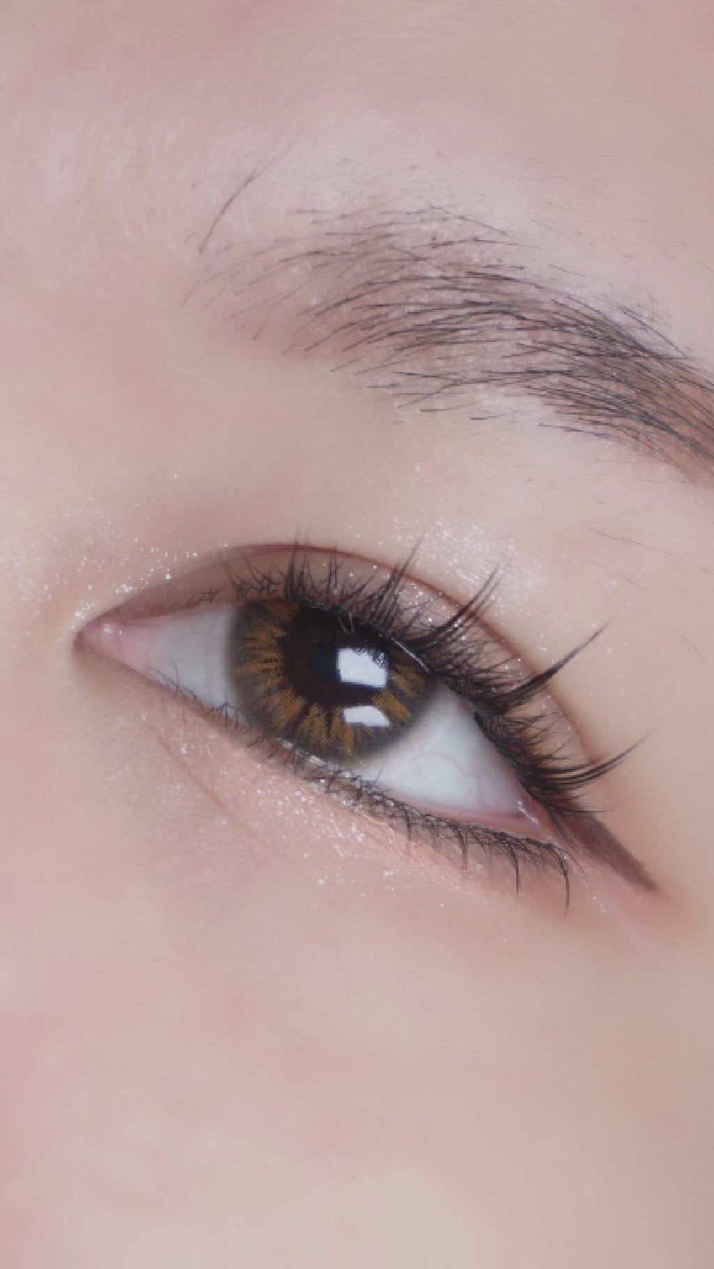 Eyecandys I Girl Brown contact lens sliding onto an eyeball with a dark iris of an Asian model