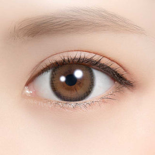 A close-up of a human eye with a brown iris and long lashes, enhanced by Feliamo 1-Day Tiramisu Ring (10pk) daily disposable lenses. The neatly groomed eyebrow and smooth, well-lit skin complete the look. Brand: Feliamo.