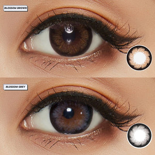 Pink Label Blossom Brown Colored Contacts Circle Lenses - EyeCandys