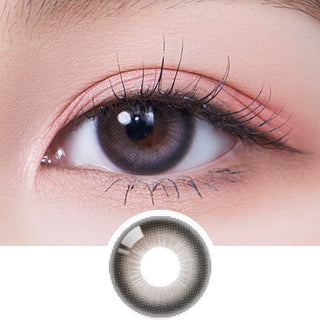 Olola Daymood Grey (KR) Natural Color Contact Lens for Dark Eyes - EyeCandys