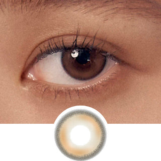 Entropy Coco Lens Brown Natural Color Contact Lens for Dark Eyes - EyeCandys