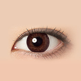 Freshlook Illuminate 1-Day (30 Pcs) Rich Brown colored contacts circle lenses - EyeCandy's