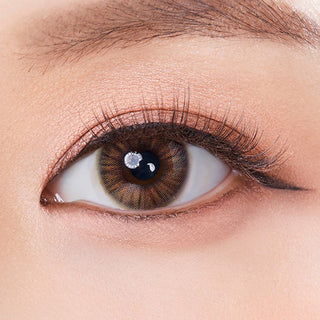 Olola Heiress Brown (KR) Natural Color Contact Lens for Dark Eyes - EyeCandys