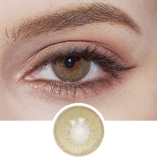 Innovision Luxury Hazel Natural Color Contact Lens for Dark Eyes - EyeCandys