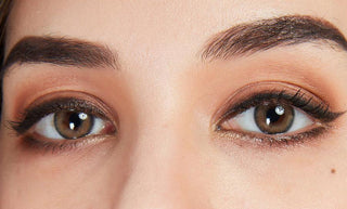 Lumine Renaissance Brown Color Contact Lens for Dark Eyes - Eyecandys