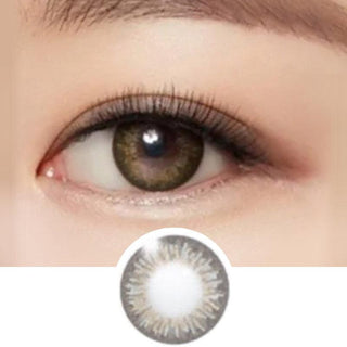 Freshlook CC 1-Day Allure Hazel (30pk) (KR) Natural Color Contact Lens for Dark Eyes - EyeCandys