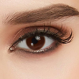 Close up eye model showing the brown natural eye color