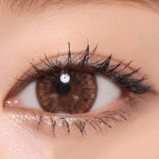GEO Grang Grang Brown Color Contact Lens - EyeCandys