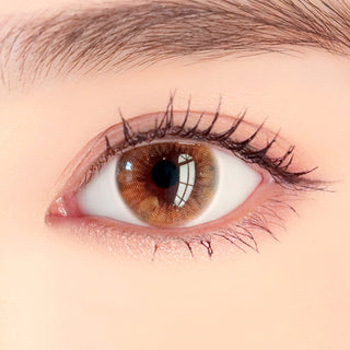 i-DOL Arsha Sweet Brown Natural Color Contact Lens for Dark Eyes - EyeCandys