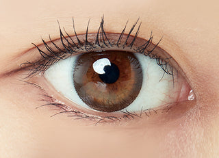 Freshlook Illuminate 1-Day (30pk) Rich Brown Color Contact Lens - EyeCandys