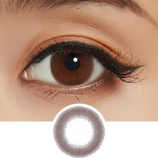 Feliamo 1-Day Sheer Brown (10pk) Colored Contacts Circle Lenses - EyeCandys