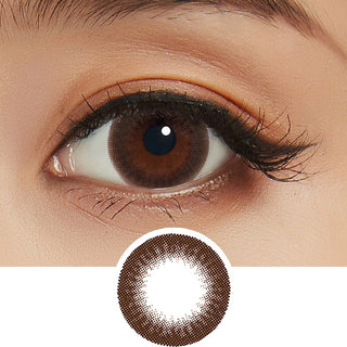 Feliamo 1-Day Shiny Brown (10pk) Colored Contacts Circle Lenses - EyeCandys