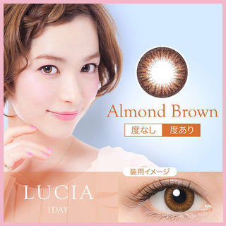 Lucia 1-Day Almond Brown (10pk) Colored Contacts Circle Lenses - EyeCandys