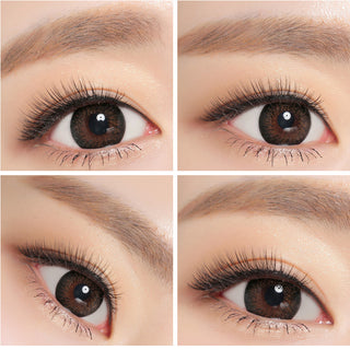 NEO Extra Dali 2 Brown (KR) Color Contact Lens - EyeCandys