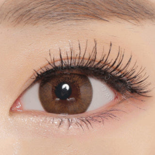 NEO Extra Dali Brown (KR) Color Contact Lens - EyeCandys