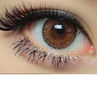 NEO Glamour Brown (KR) Color Contact Lens for Dark Eyes - Eyecandys