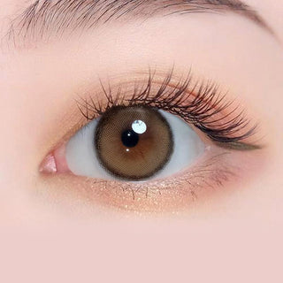Macro shot of an eye wearing the Roze Airy Beige daily colour contact lens, showing the multi-colored detail and natural effect on dark brown eyes, with clean eye makeup